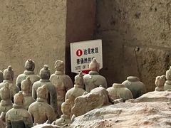 -秦始皇帝陵博物院(兵马俑)