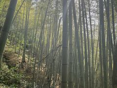 -藏龙百瀑风景区