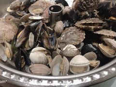 -添福来墨鱼饺子 · 海鲜东北菜(大连星海·黄浦路店)