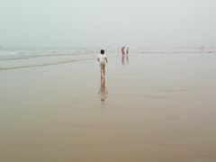-日照海滨国家森林公园