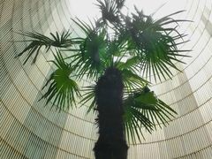 -证大喜玛拉雅中心