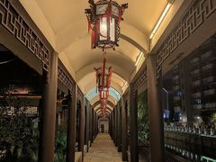 -荔湾湖公园