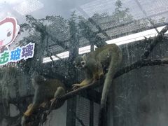 -无锡动物园·太湖欢乐园