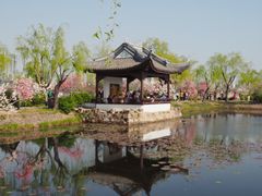 -无锡蠡湖国家湿地公园-蠡园
