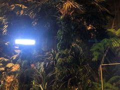 -广东科学中心
