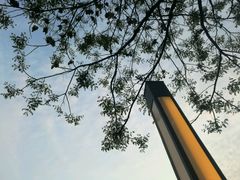 -情妹妹干锅锅(中海国际购物公园店)