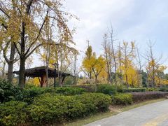 -黄兴公园