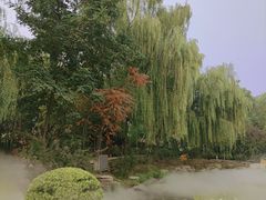 -河北省园博园