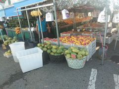 -三旗百汇商品城