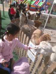 -萌宠亲子动物乐园(槐房万达店)