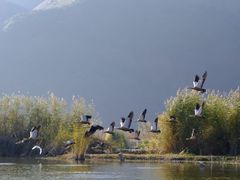 -大理洱源西湖景区