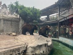 -灵玲国际马戏城