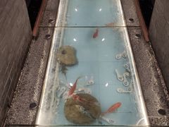 -芝麻花餐厅(祁家豁子店)