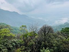 -萍乡武功山风景名胜区