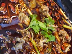 -蛙鱼潭美蛙鱼头火锅(解放碑瑞富广场店)