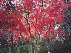 -天鹅湖体育公园