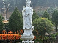 -灵光寺