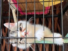 -苏州人家(锦溪镇店)