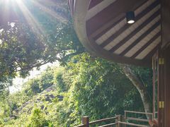 -三亚亚龙湾人间天堂鸟巢度假村