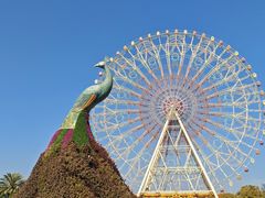 -七彩云南欢乐世界