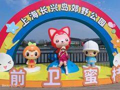-上海长兴岛郊野公园