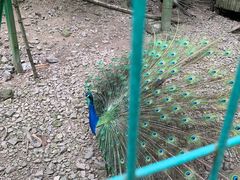 -藏龙百瀑风景区