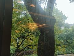 -浙江西子宾馆·瑶园咖啡厅