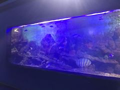 -重庆欢乐海底世界