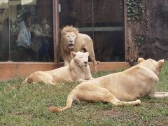 -杭州野生动物世界