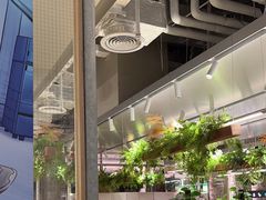 -老乡鸡(上海白玉兰广场店)