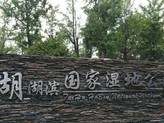 -太湖湖滨国家湿地公园-停车场