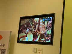 -小厨娘淮扬菜(六合欢乐港店)