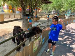 -辛玛王国游乐园