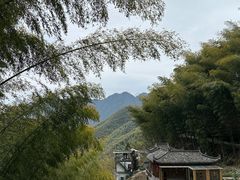 -木坑竹海