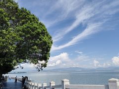 -水巷子·巴掌腰片重庆火锅(云纺店)