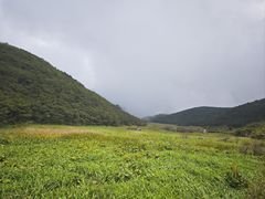-大围山国家森林公园
