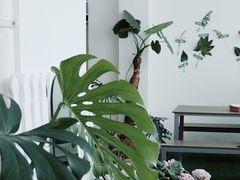 景观位-CHILLAX轻乐时(侨建·Hi City店)