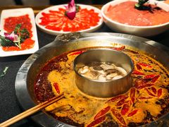 -大龙燚火锅(春熙店)