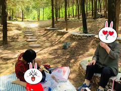 -北京鹫峰国家森林公园