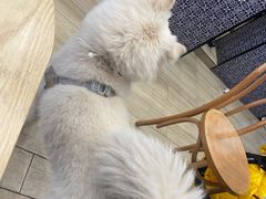 -OZ cafe(南昌路店)