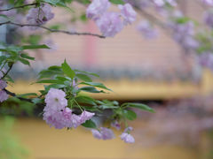 -龙华寺