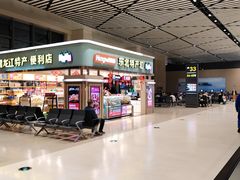 -哈尔滨太平国际机场-T2航站楼
