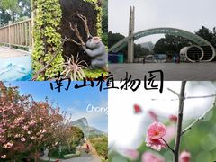 -南山植物园