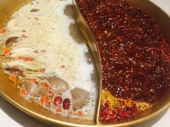 -杨家火锅(国美店)