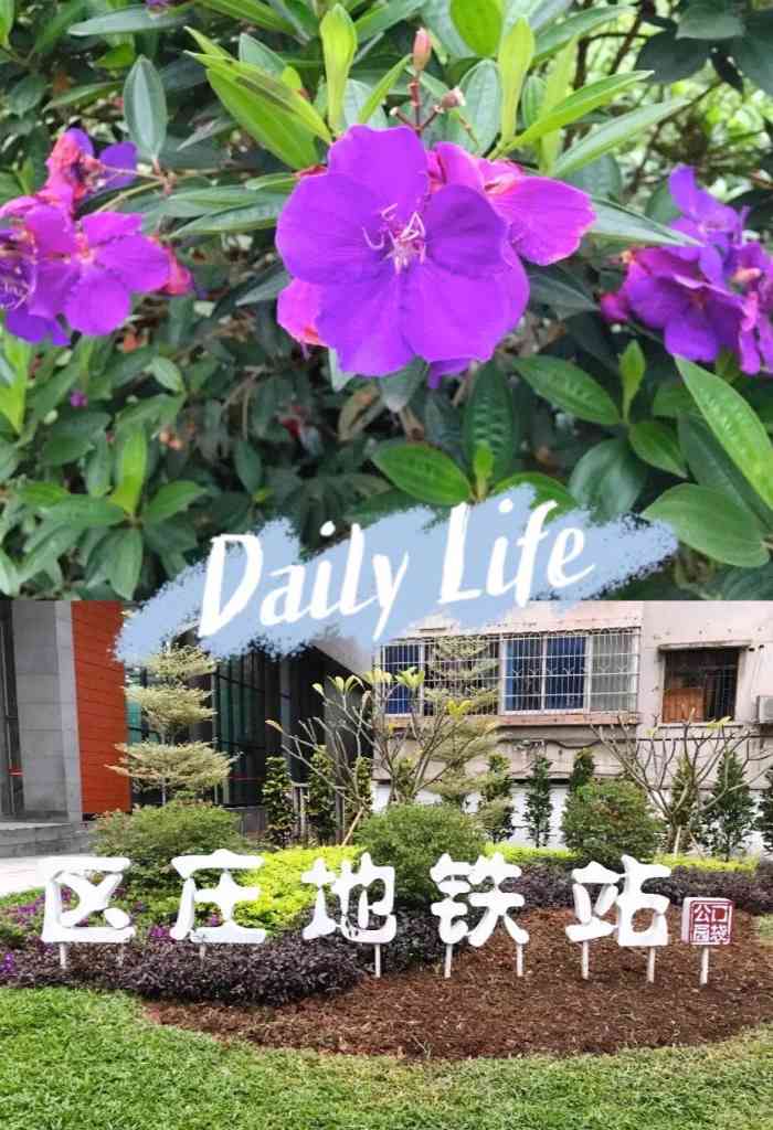 区庄(地铁站)-"五六号线交汇嘅区庄地铁站有好鬼多个出口,.