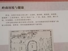 -广州神农草堂中医药博物馆