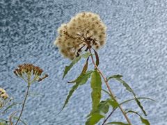 -叠溪松坪沟景区