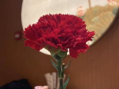 -松鹤楼·苏式汤面(虹桥天地店)