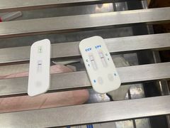 -中环花鸟鱼虫市场
