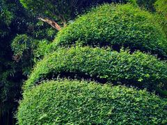 -苏州河梦清园环保主题公园